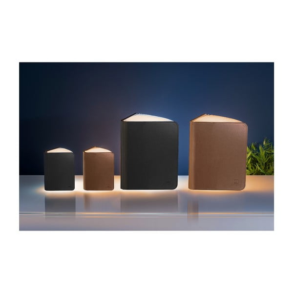 Czarna dekoracja świetlna na USB Booklight – Gingko-image-2