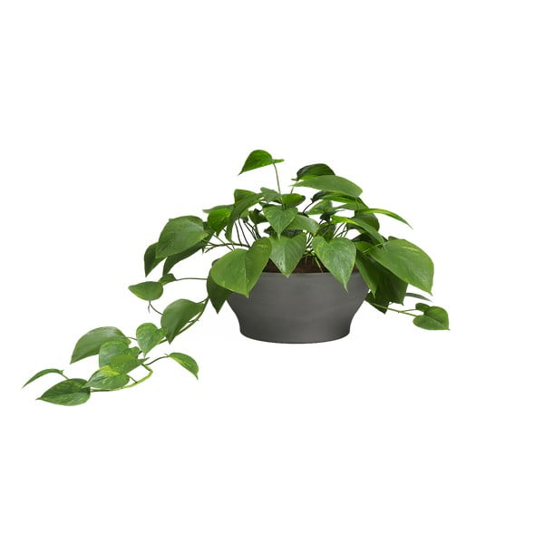 Terakotowa doniczka ø 23 cm Saramago – Artevasi-image-1