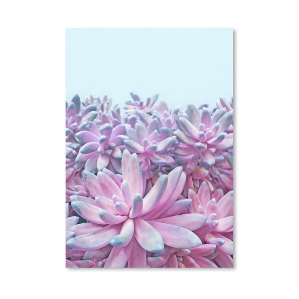 Plakat Americanflat Sweet Succulent Li, 30x42 cm
