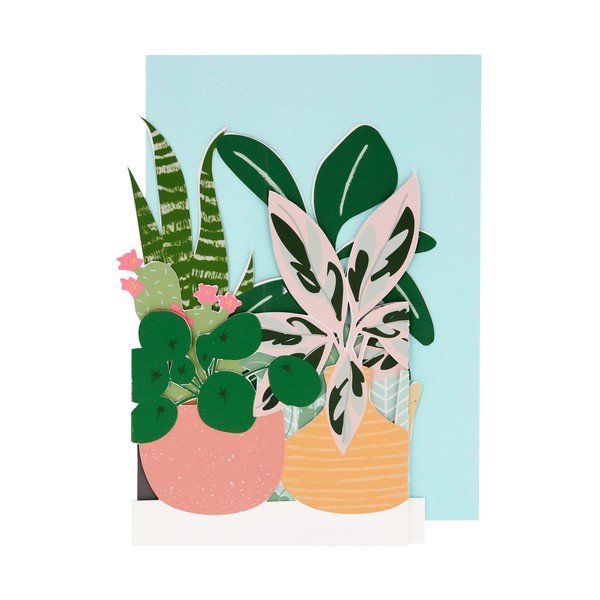 Kartka Potted Plant – Meri Meri-image-1