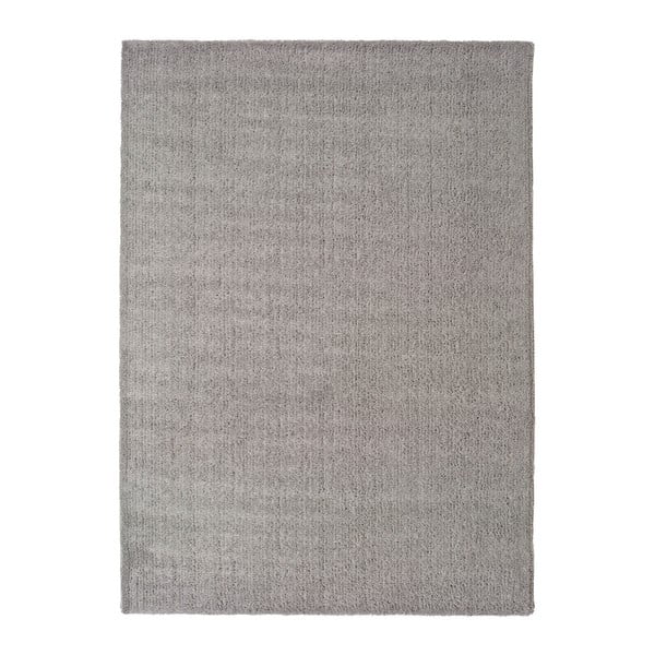 Szary dywan Universal Benin Liso Silver, 140x200 cm