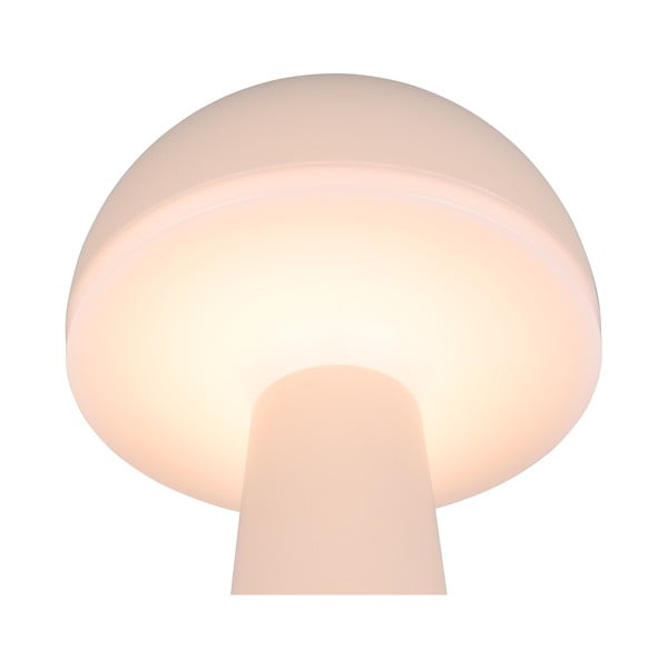 Lampa zewnętrzna ze ściemniaczem ø 16 cm Fungo – Trio-image-2