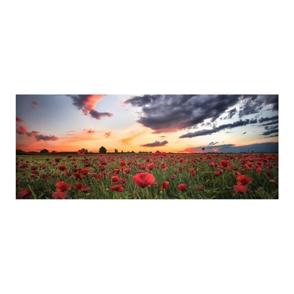 Obraz szklany DecoMalta Poppies, 125x50 cm