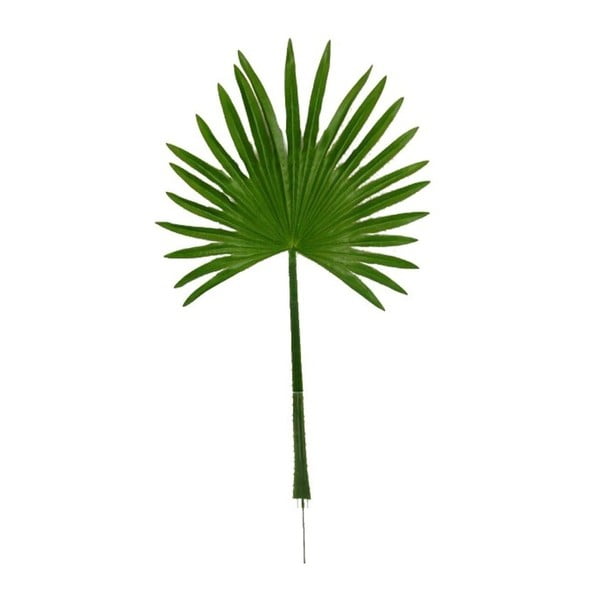 Liść dekoracyjny Boltze Palm
