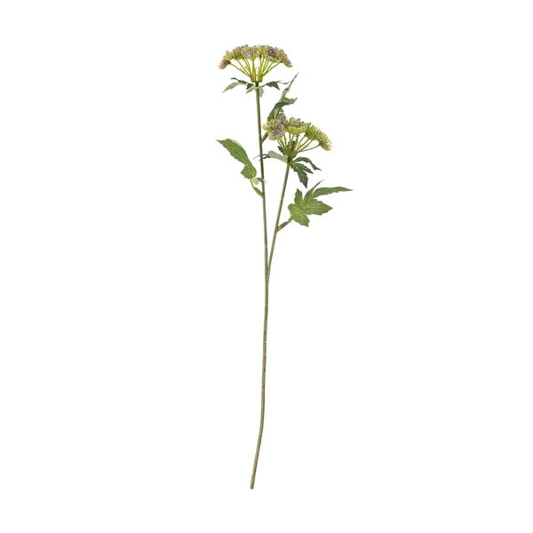 Sztuczna roślina (wysokość 49 cm) Throatwort – Bloomingville