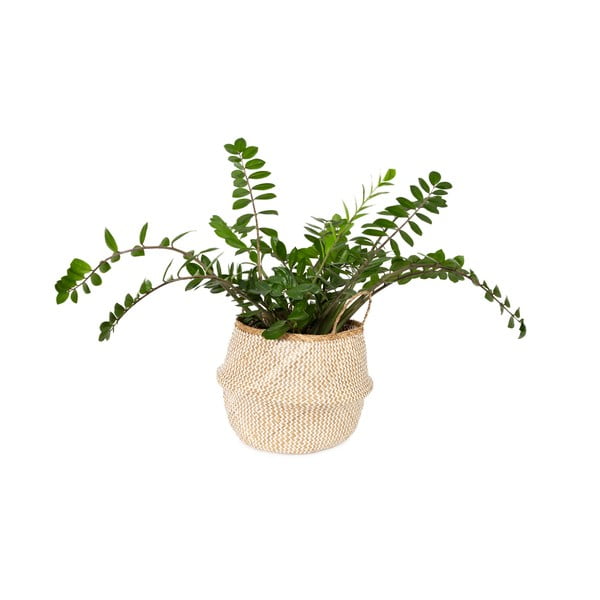 Jasny koszyk z trawy morskiej Compactor Zic Zac, ⌀ 45 cm-image-1