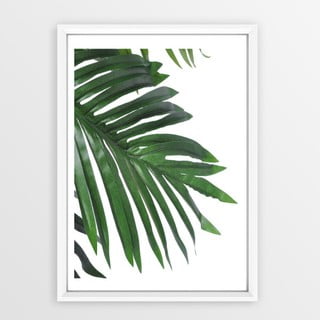 Plakat w ramce Piacenza Art Palm, 30x20 cm
