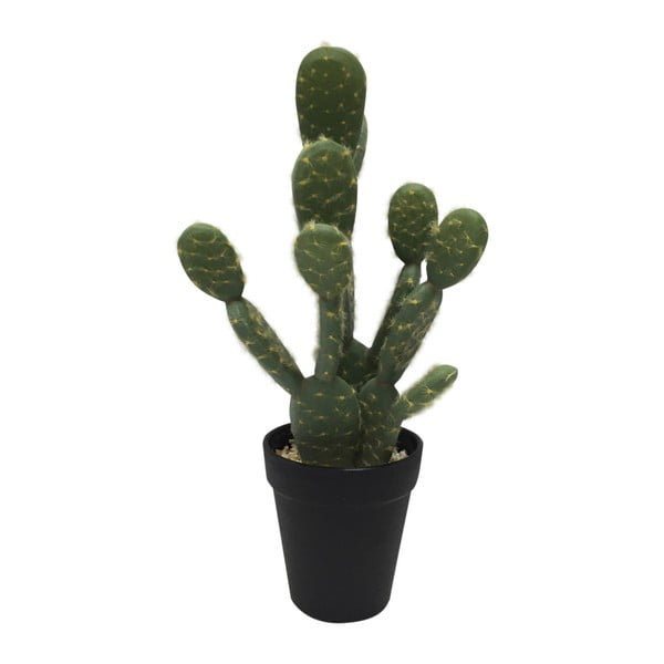 Kaktus dekoracyjny HouseVitamin® Party of the Plants, wysokość 31 cm