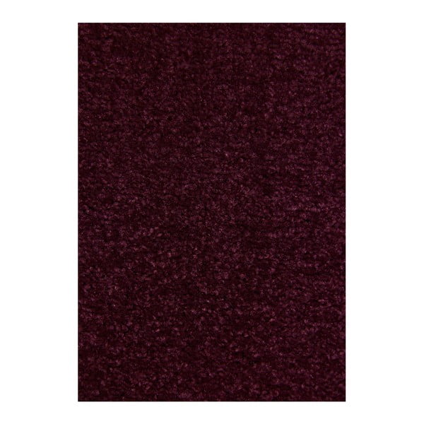 Ciemnofioletowy dywan Hanse Home Nasty, 160x240 cm