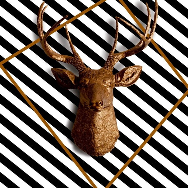 Obraz Deer, 60x60 cm