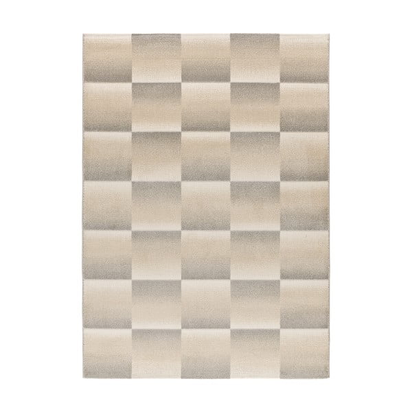 Szaro-kremowy dywan 160x230 cm Sensation – Universal
