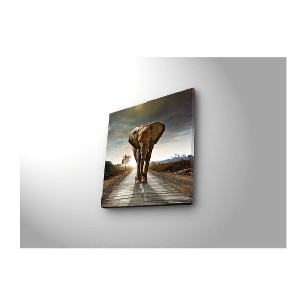 Podświetlany obraz Elephant, 28x28 cm