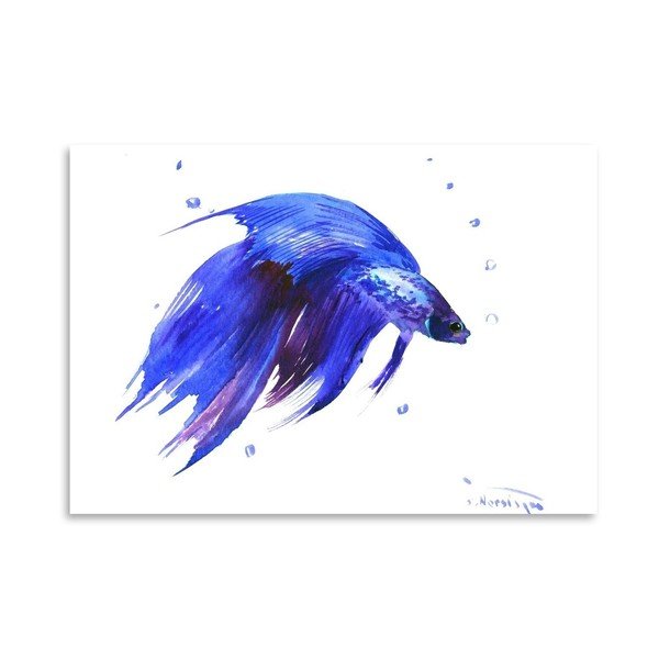 Plakat Betta Fish