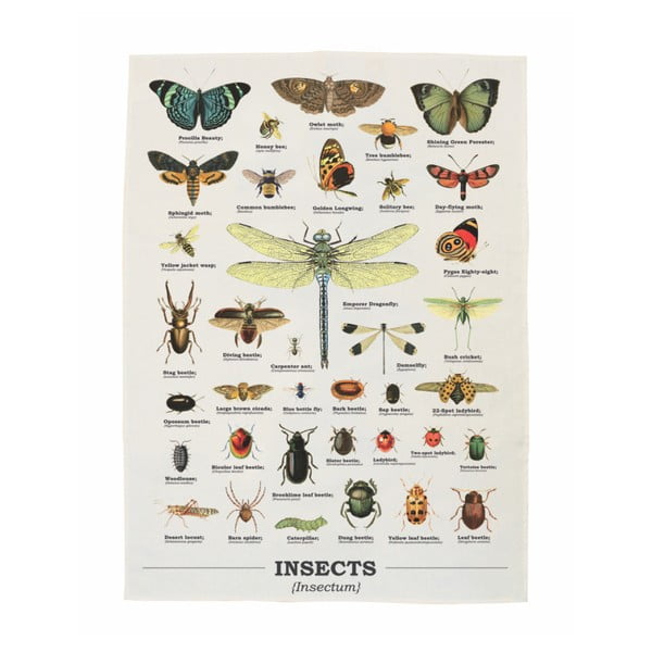 Ścierka Gift Republic Insects, 50x70 cm