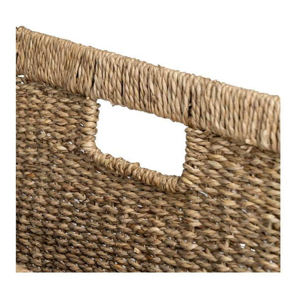 Wiklinowy gazetnik – Ixia-image-4