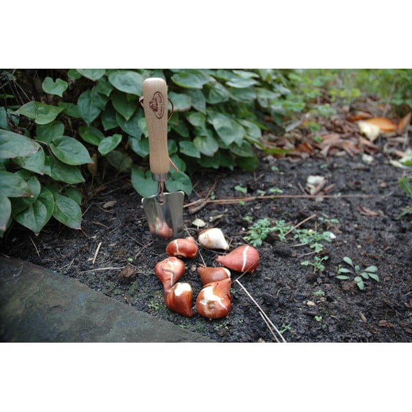 Łopatka do przesadzania z drewna jesionowego Esschert Design Pond-image-4