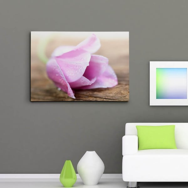Obraz na płótnie "Kwiat z kroplami rosy", 50x70 cm