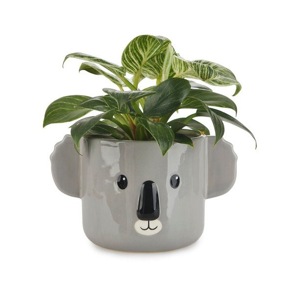 Ceramiczna doniczka ø 13,5 cm Koala – Balvi-image-1