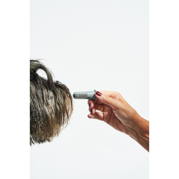 Szczoteczki do zębów dla zwierząt zestaw Dito – MiaCara-image-4