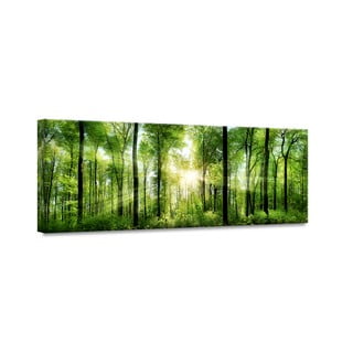 Obraz Styler Glasspik Nature Sunlight, 50x125 cm