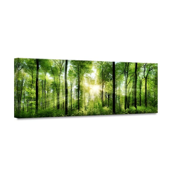Obraz Styler Glasspik Nature Sunlight, 50x125 cm