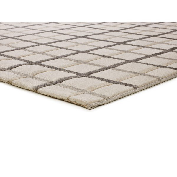 Szaro-kremowy dywan 160x230 cm Karisma – Universal-image-3
