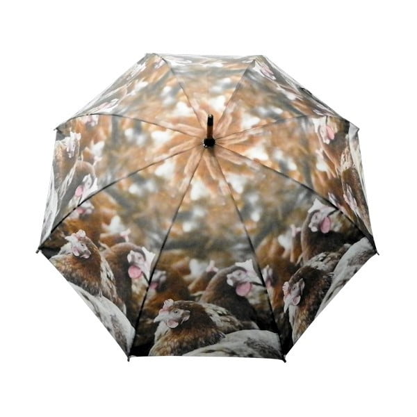 Parasol Chickens-image-1