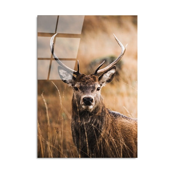 Szklany obraz 70x100 cm Deer – Wallity