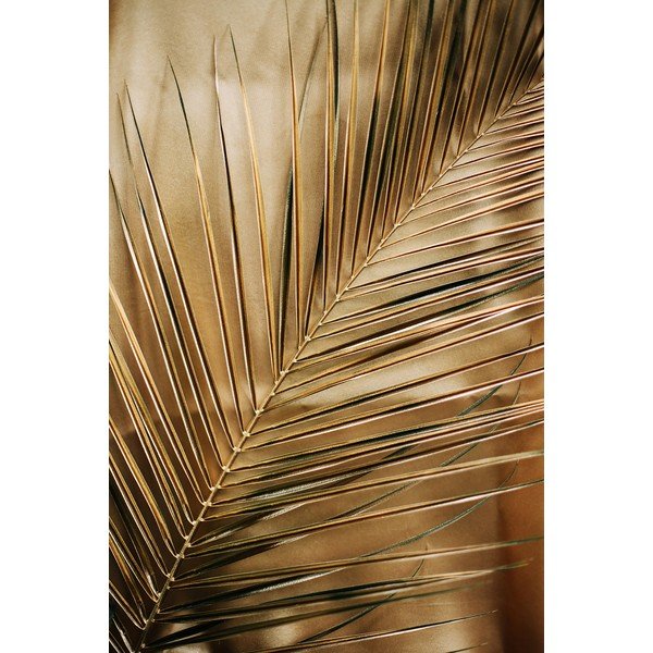 Szklany obraz drukowany 80x120 cm Gold Palm  – Styler