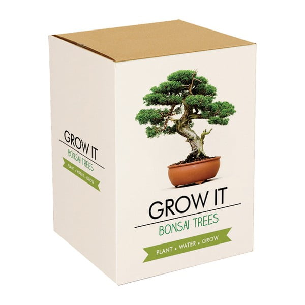 Zestaw do uprawy roślin z ziarnami bonsai Gift Republic Bonsai Trees