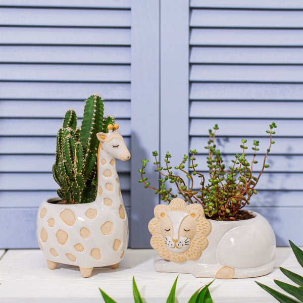 Biało-beżowa doniczka Sass & Belle Leo Lion, ø 7 cm-image-1