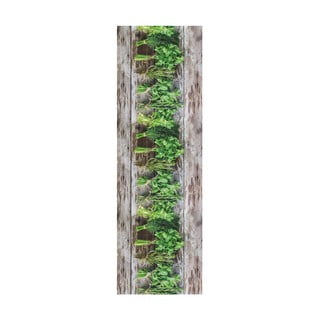 Brązowo-zielony chodnik Floorita Aromatica, 58x140 cm