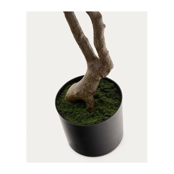 Sztuczna roślina (wysokość 180 cm) Pachira – Kave Home-image-3