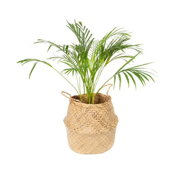 Jasny koszyk z trawy morskiej Compactor, ⌀ 36 cm-image-4