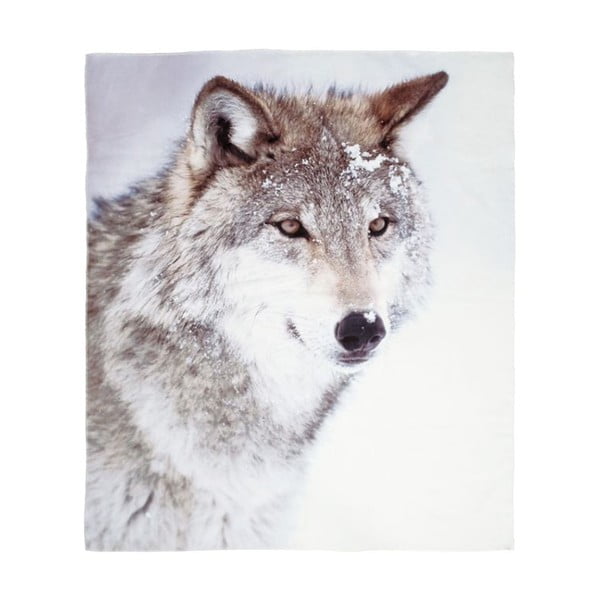 Koc Wolf, 150x130 cm