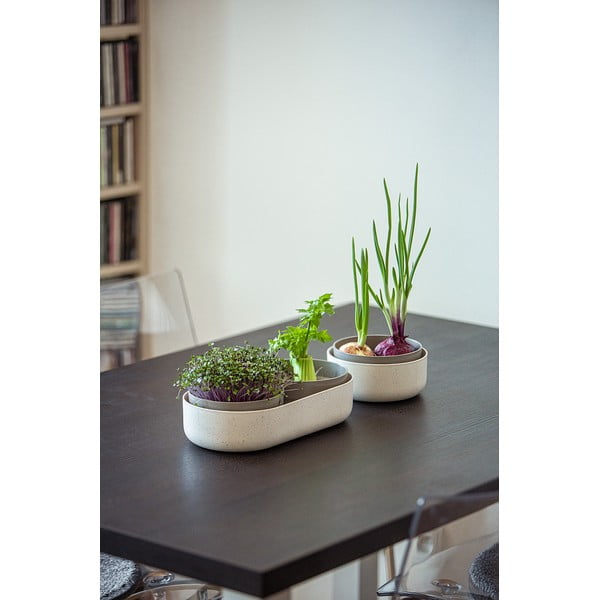 Miska do kiełkowania, ø 16 cm Regrow − Plastia-image-3