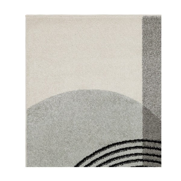 Dywan szary 230x160 cm Muse - Asiatic Carpets-image-3