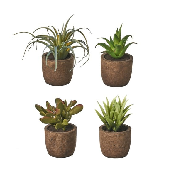 Sztuczne rośliny zestaw 4 szt. (wysokość 10 cm) Cactus – Casa Selección