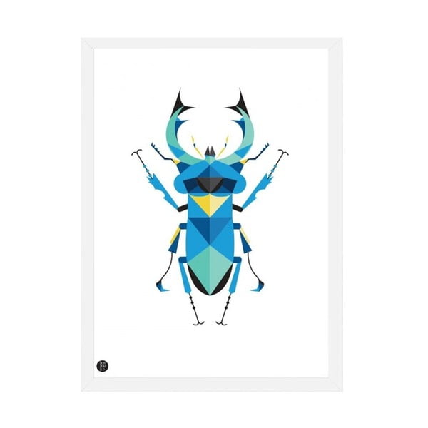 Plakat Stag Beetle Color, 50x70 cm