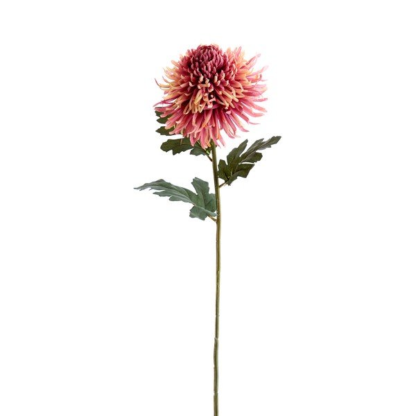 Sztuczny kwiat (wysokość 91 cm) Chrysantheme – Light & Living