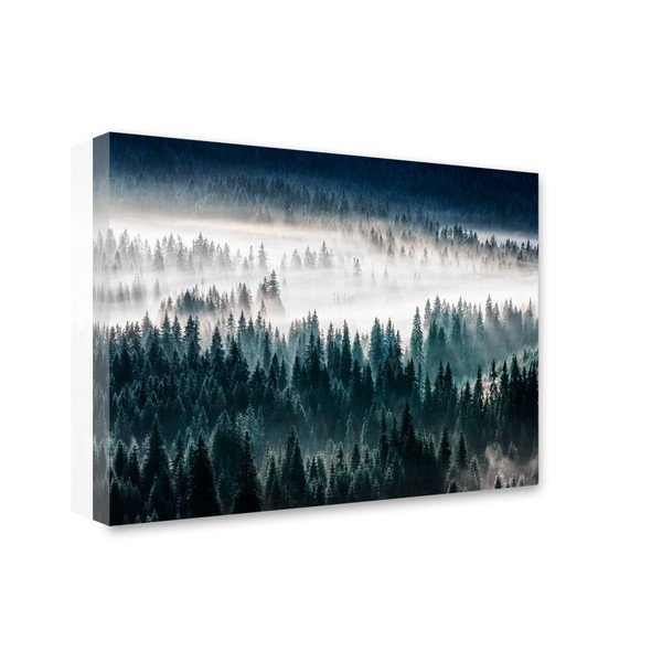 Obraz Styler Glasspik Misty Forest, 80x120 cm-image-1