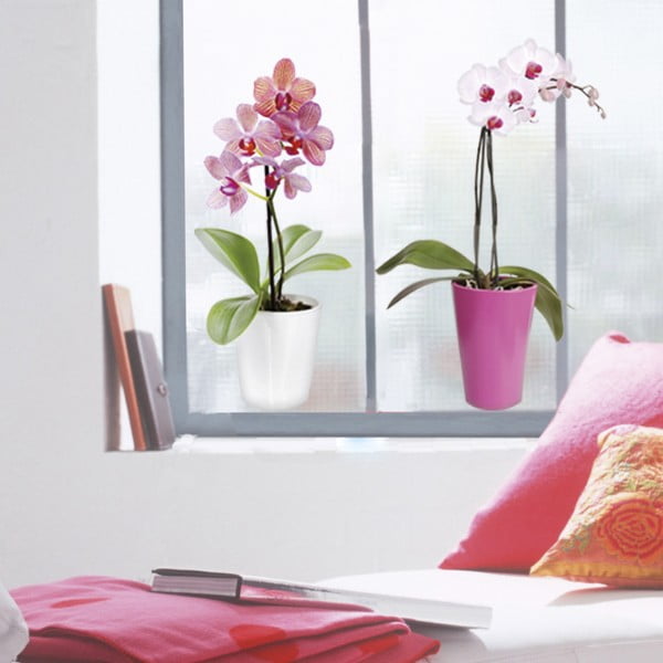 Naklejka na okno Orchidee