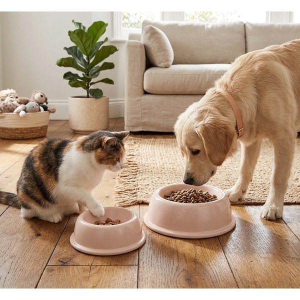 Kamionkowa miska dla czworonoga ø 16 cm – Casafina-image-1