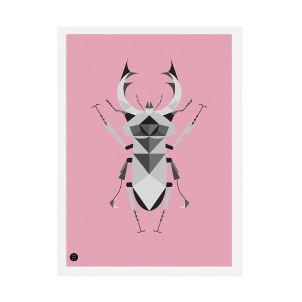 Plakat Stag Beetle Pink, 50x70 cm