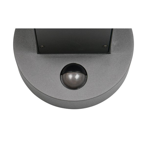 Zewnętrzna lampa ścienna (wysokość 24,5 cm) Fraser – Trio-image-3