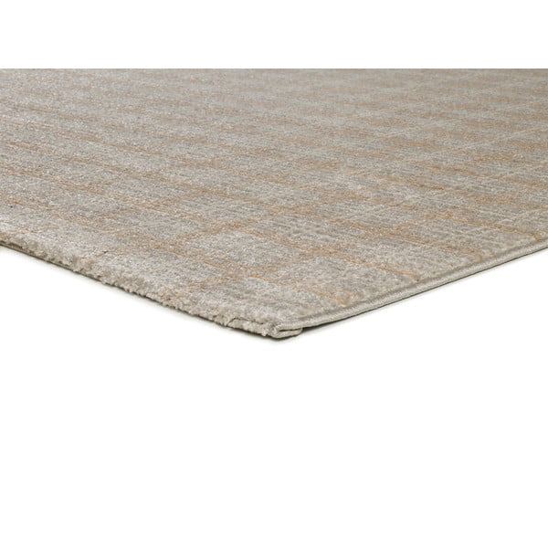 Beżowy dywan 80x150 cm Sensation – Universal-image-2
