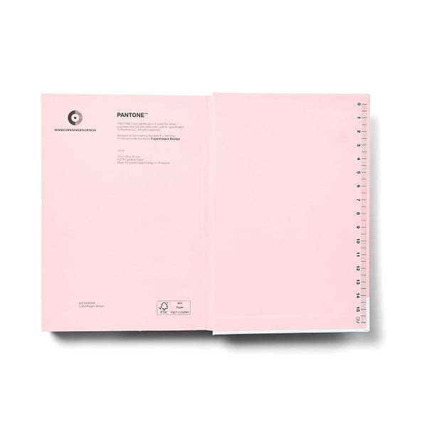 Notes Light pink 13-2006 – Pantone-image-1