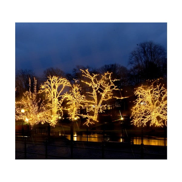 Ogrodowa siatka świetlna LED Best Season Net-Extra, 192 lampek