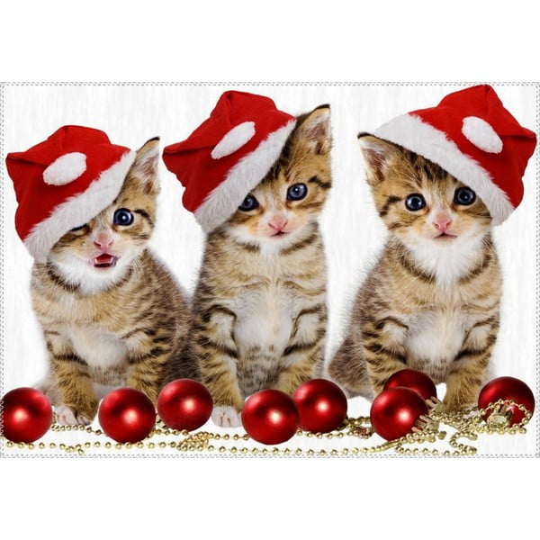 Dywan Vitaus Christmas Period Three Cats, 50x80 cm