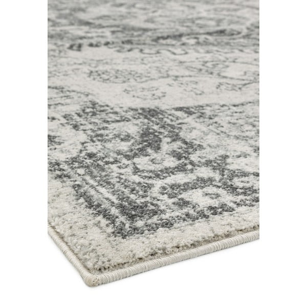 Szary/kremowy dywan 120x170 cm Nova – Asiatic Carpets-image-1